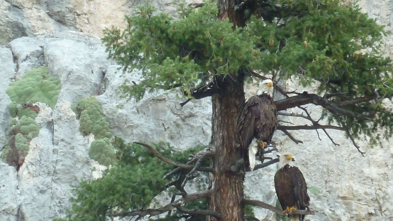 Photo of Others in Cascade
