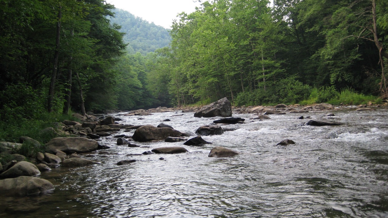 Photo of Others in Cascade
