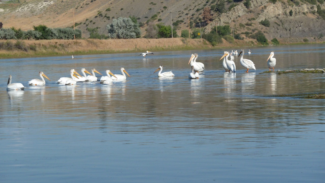 Photo of Others in Cascade