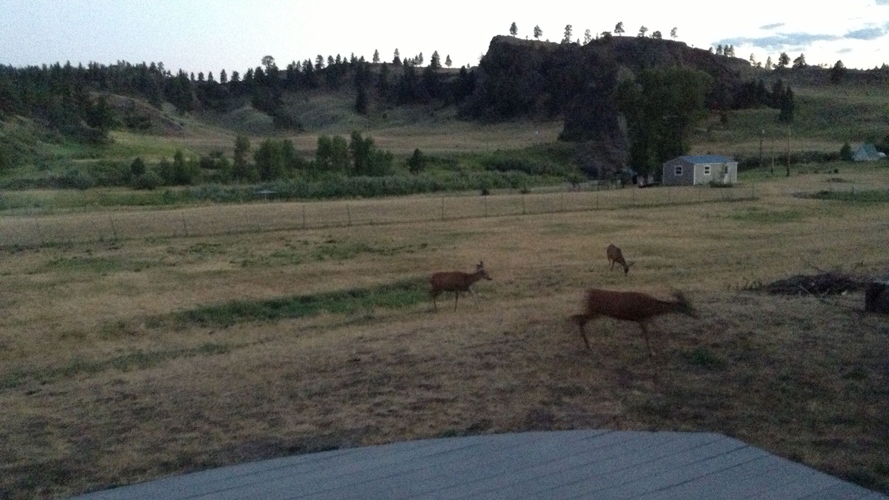Photo of Others in Cascade
