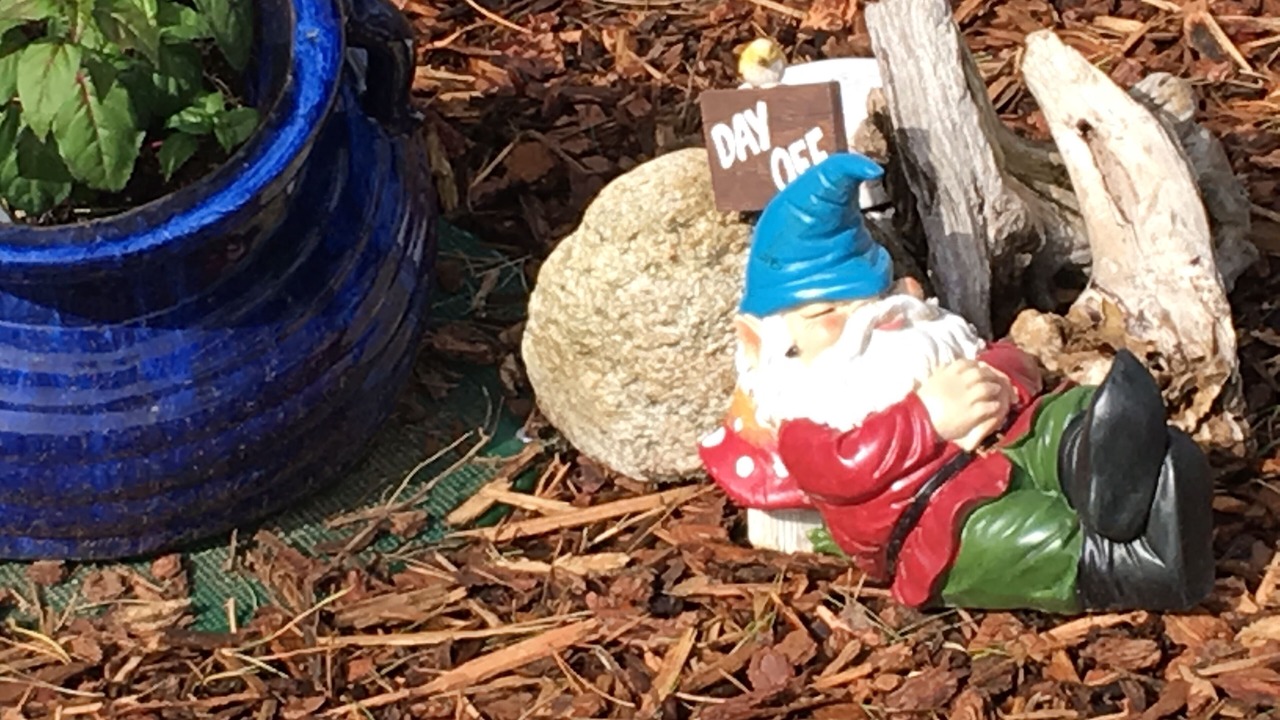 Photo of Others in Waldport