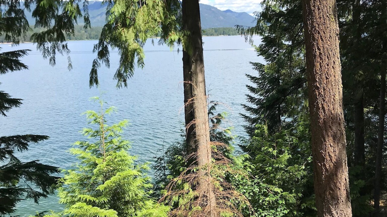 Photo of Outdoor in Sandpoint
