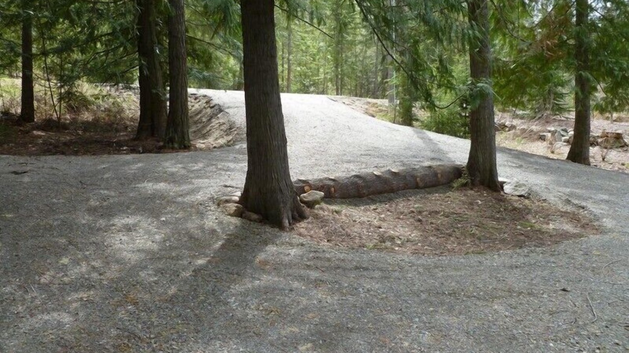 Photo of Others in Sandpoint