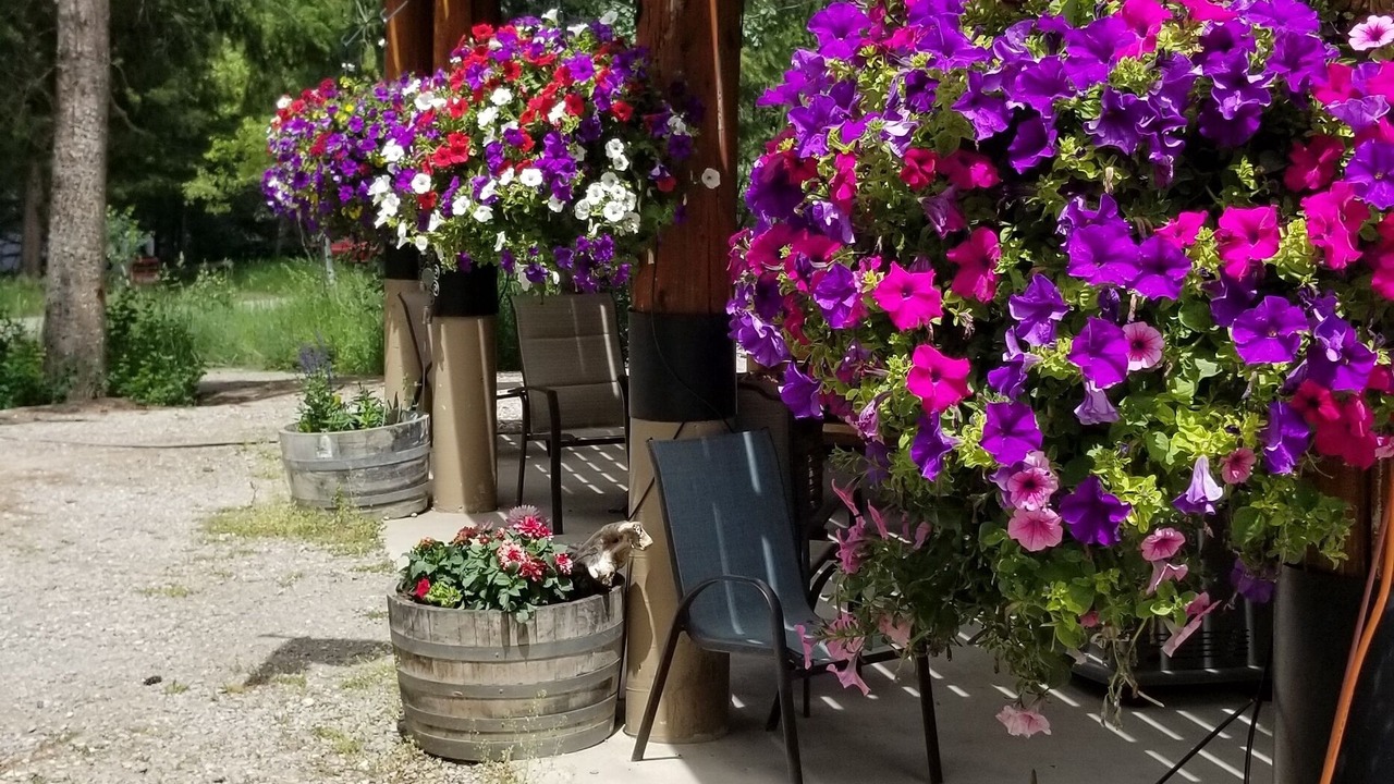 Photo of Outdoor in Star Valley Ranch