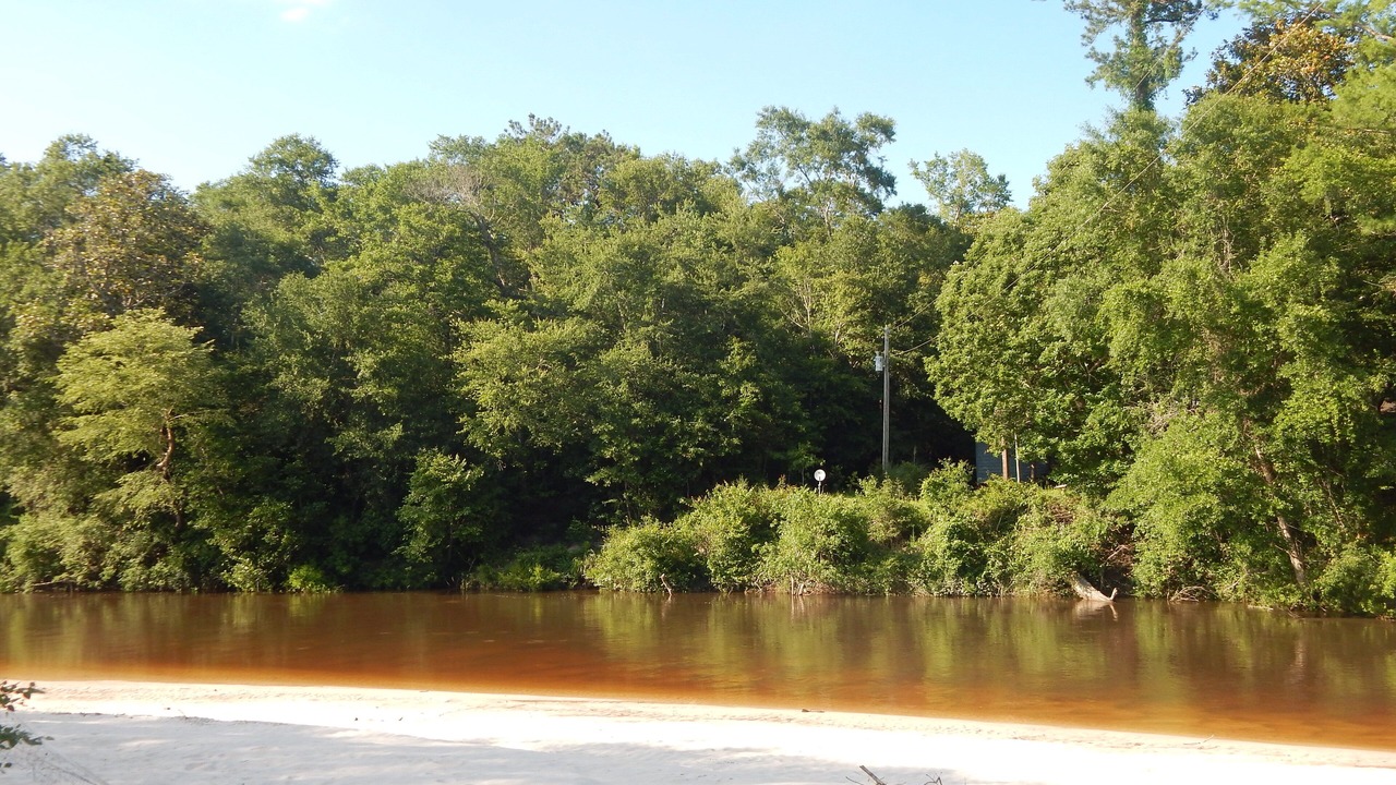 Photo of Others in Perkinston
