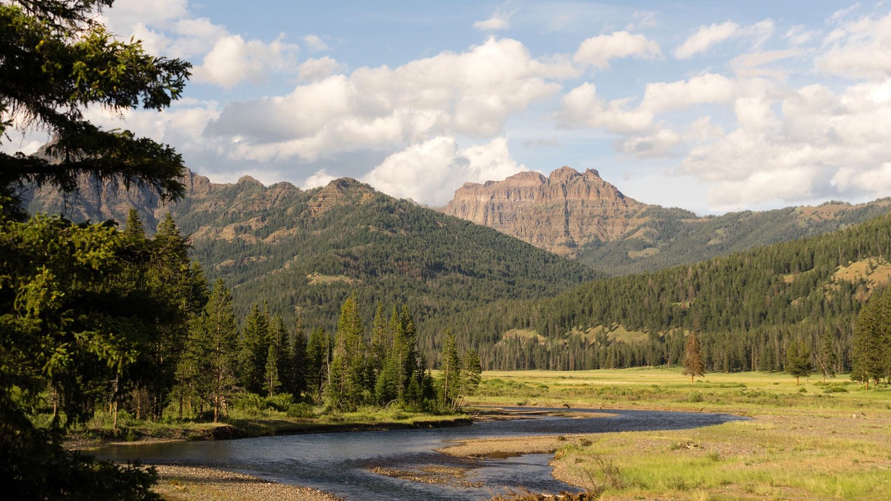 Photo of Others in Cooke City-Silver Gate