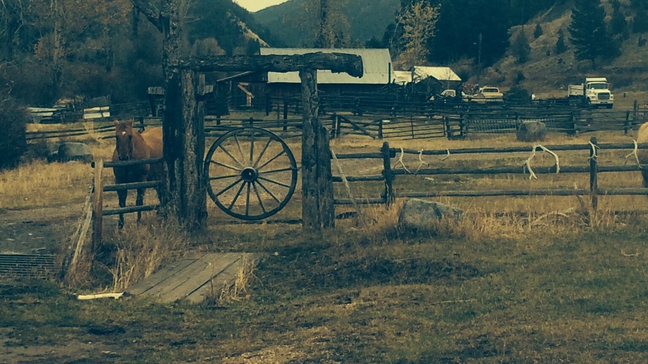 Photo of Others in Divide