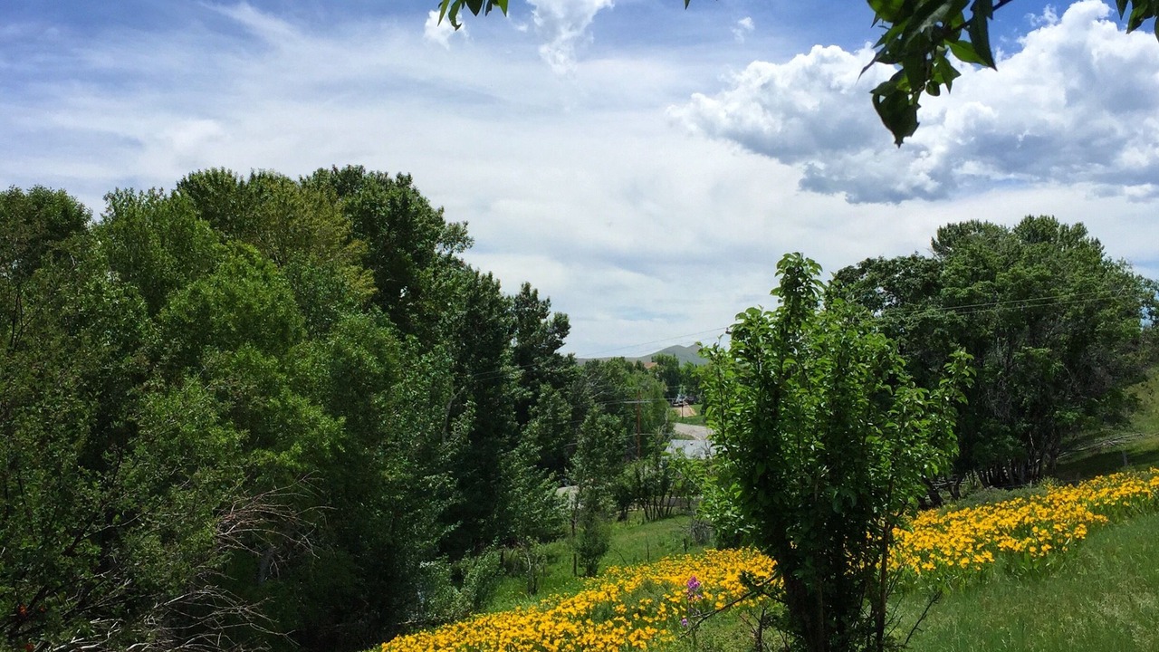 Photo of Others in Garden City