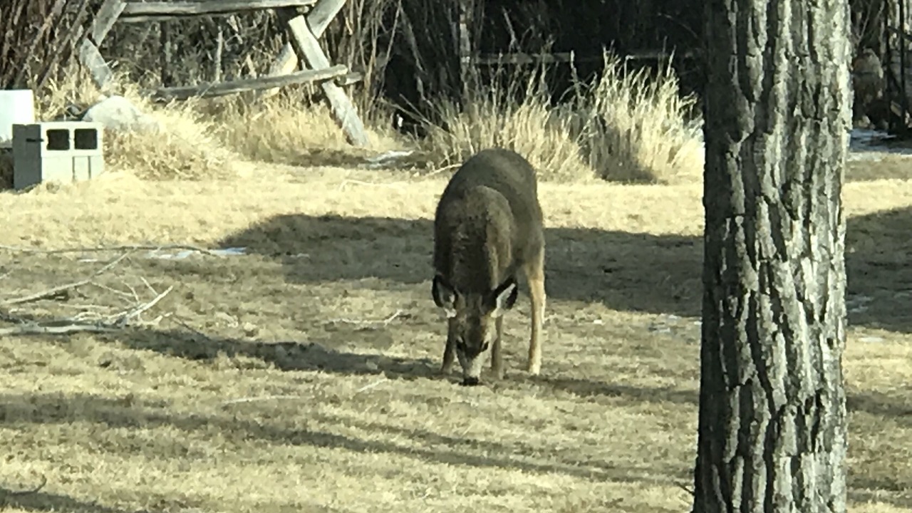 Photo of Others in Dubois