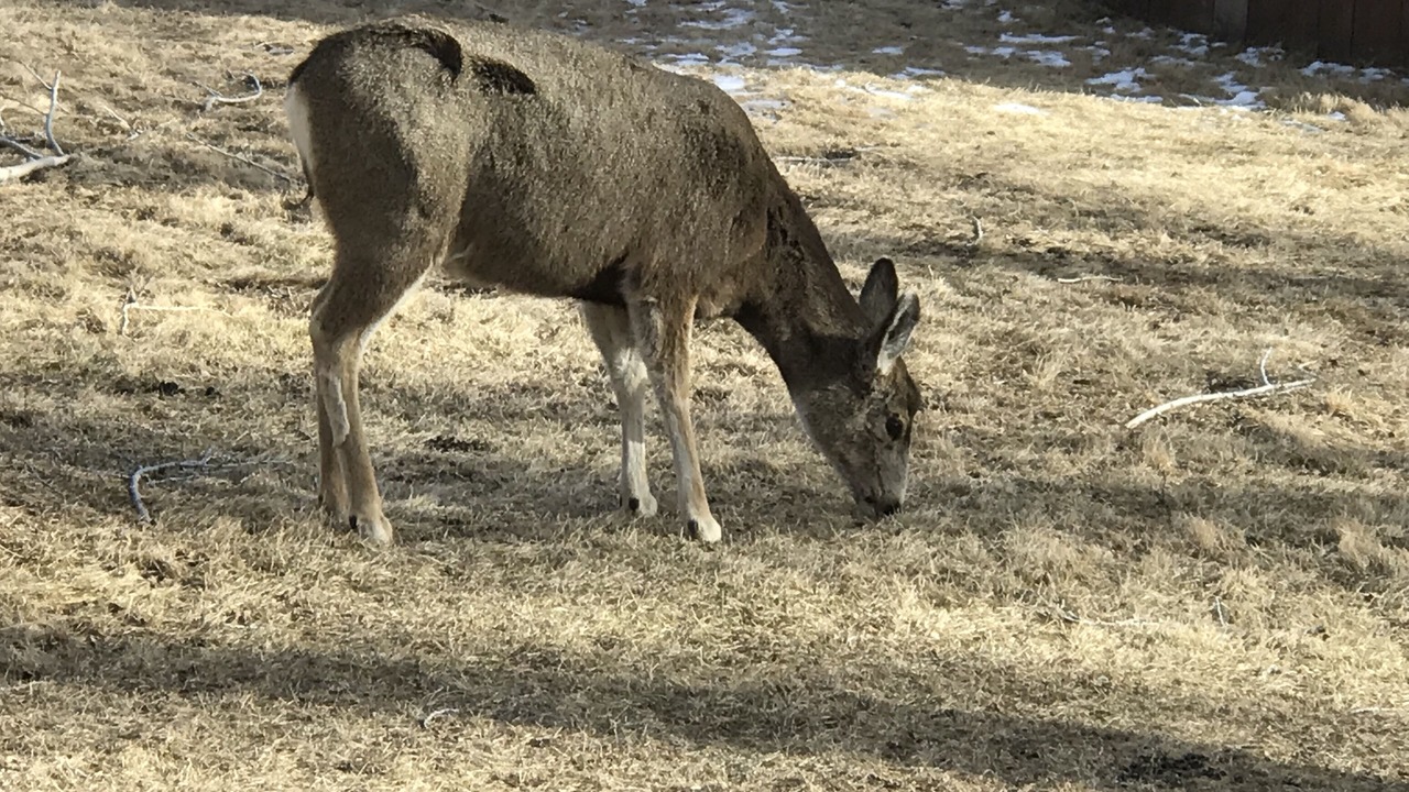 Photo of Others in Dubois