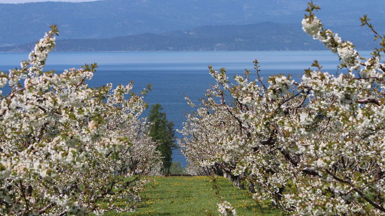 Photo of Outdoor in Bigfork
