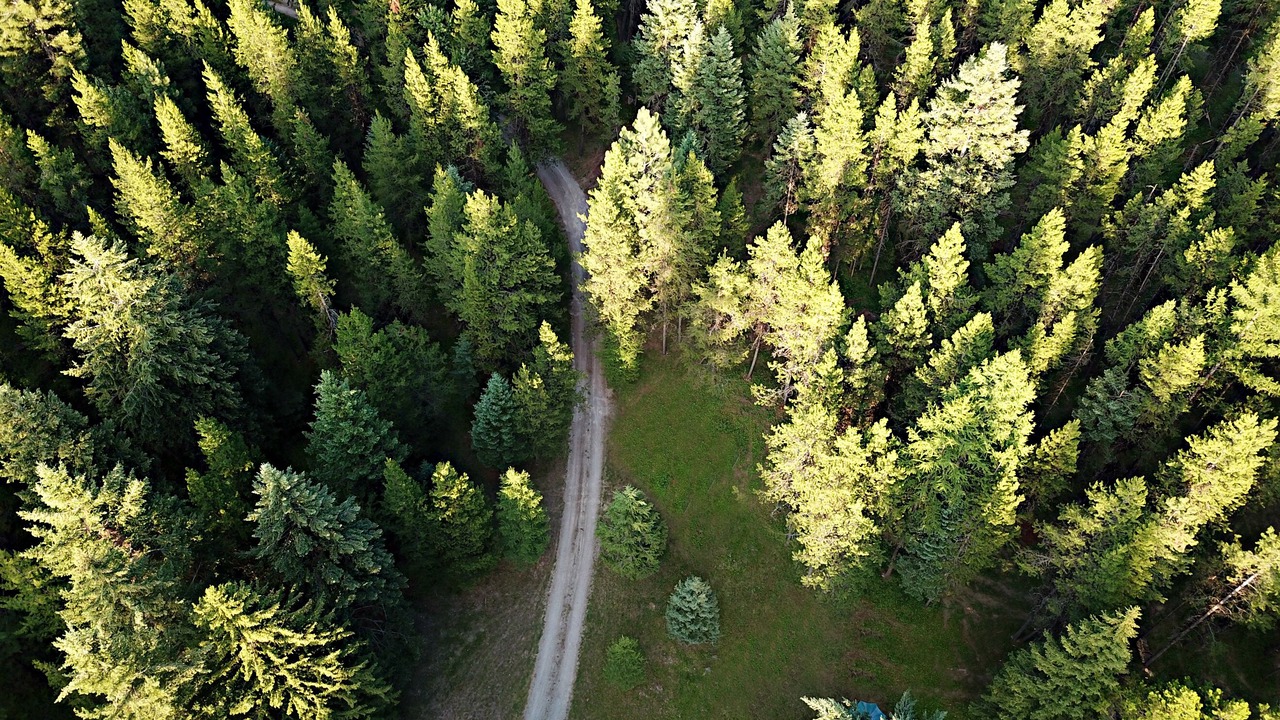 Photo of Others in Bigfork