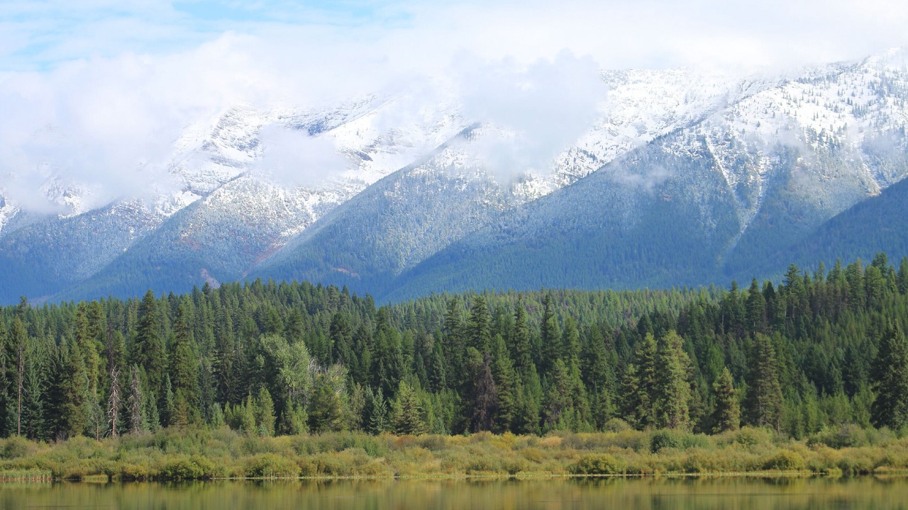 Photo of Others in Bigfork
