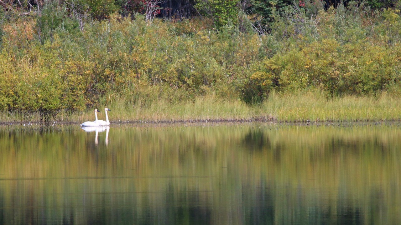 Photo of Outdoor in Bigfork