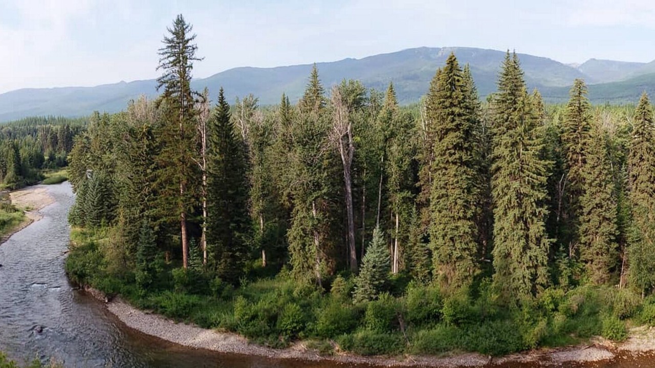 Photo of Others in Bigfork