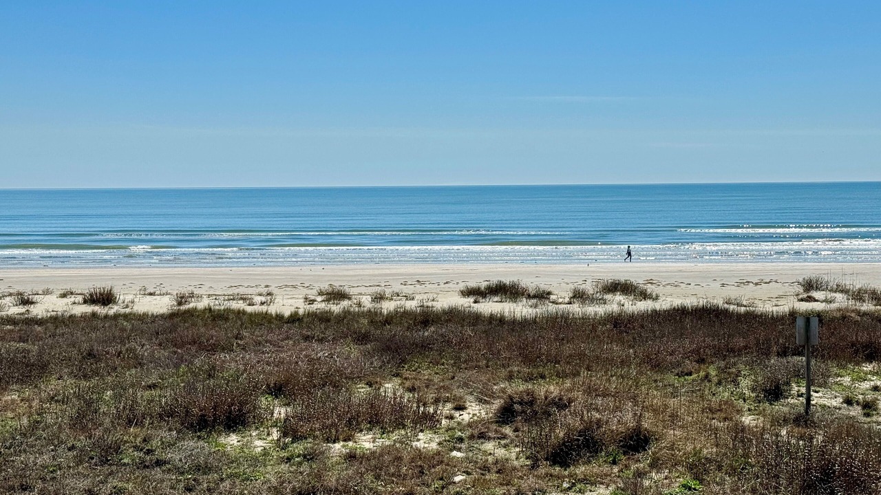 Photo of Others in Galveston