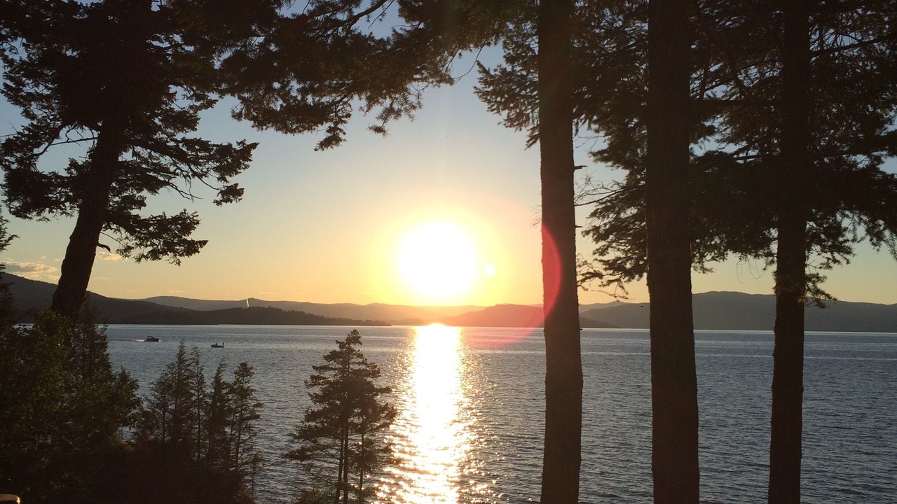 Photo of Others in Finley Point