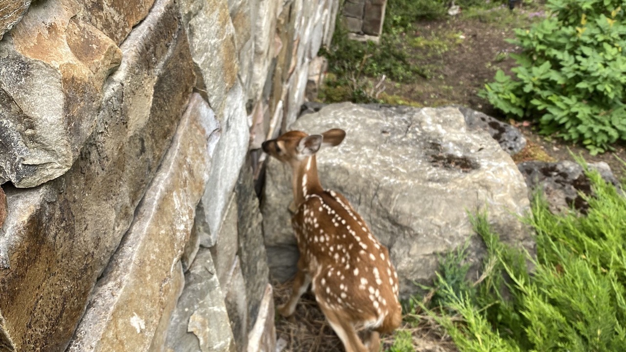 Photo of Others in Finley Point