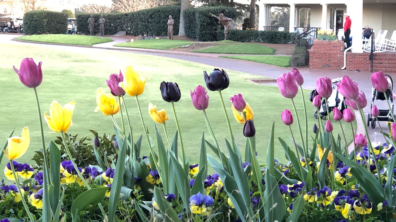 Photo of Outdoor in Pinehurst
