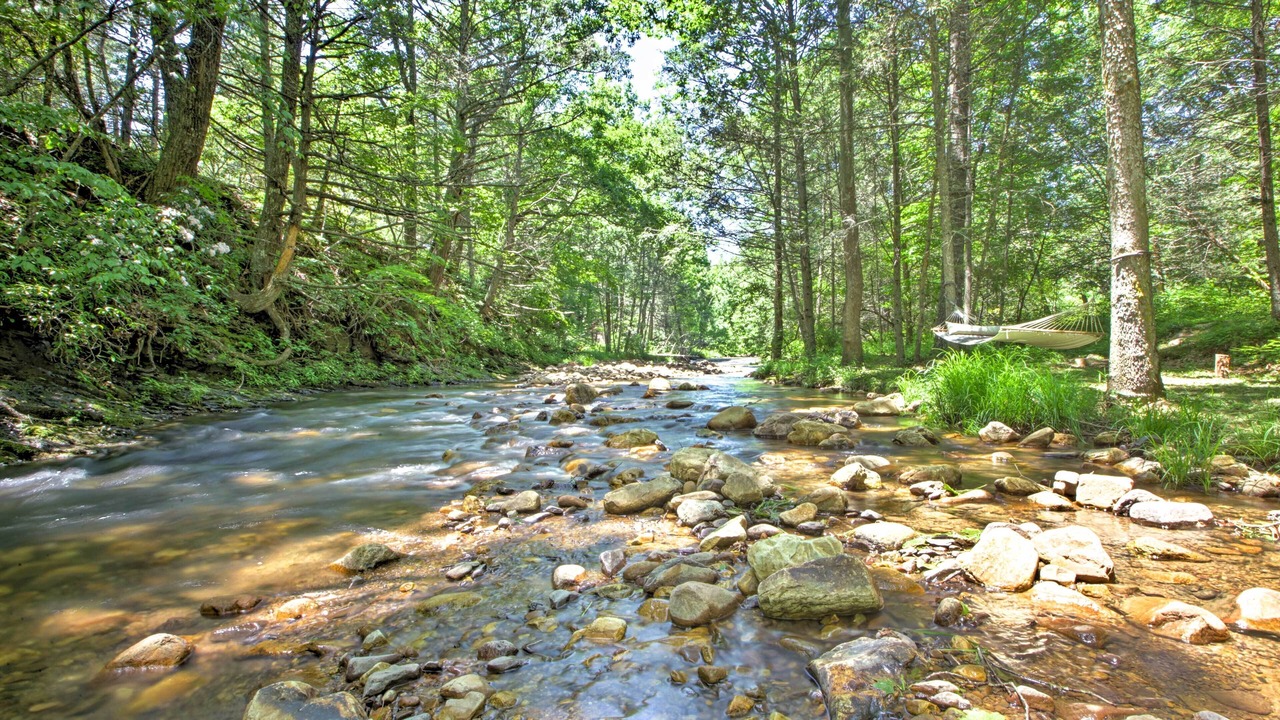 Photo of Outdoor in McDowell