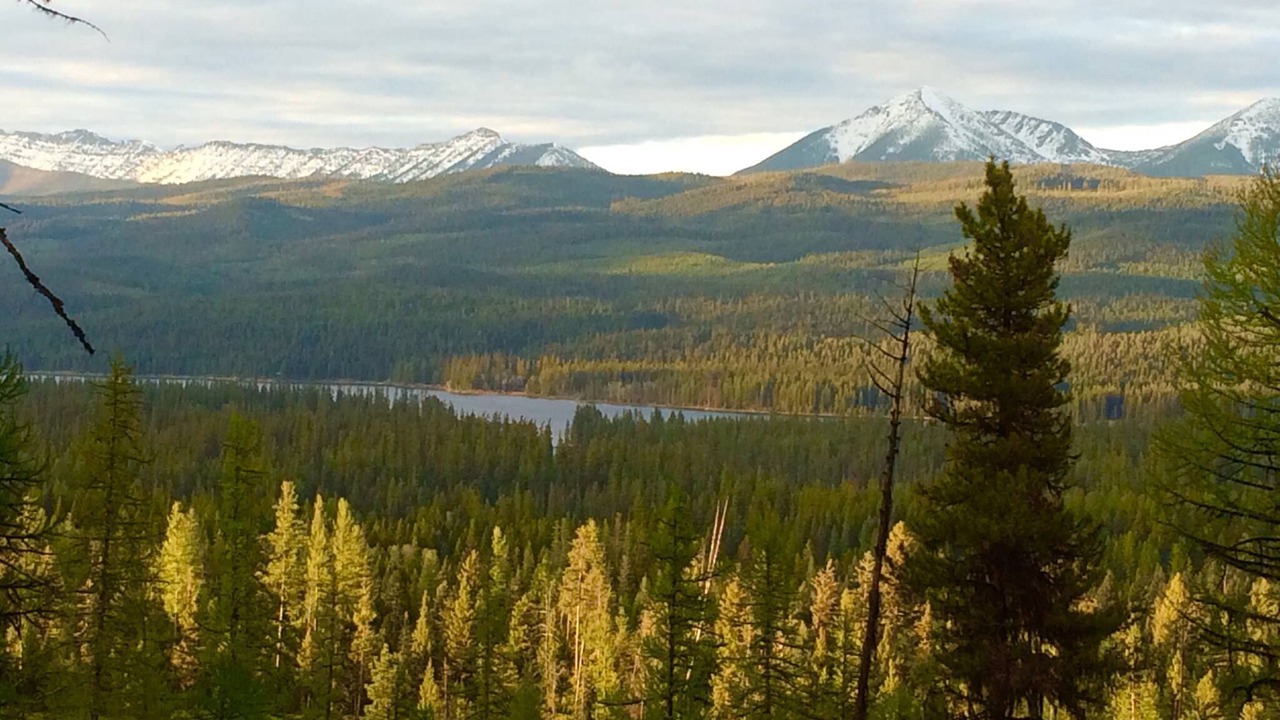 Photo of Others in Seeley Lake