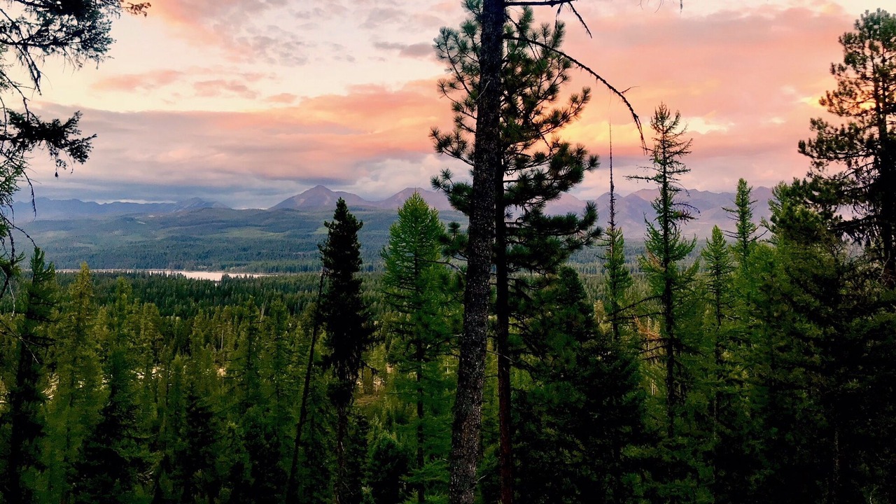 Photo of Others in Seeley Lake
