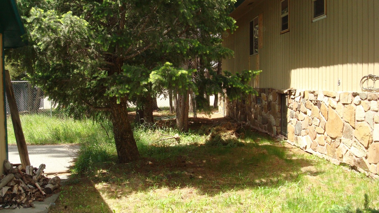 Photo of Others in West Yellowstone