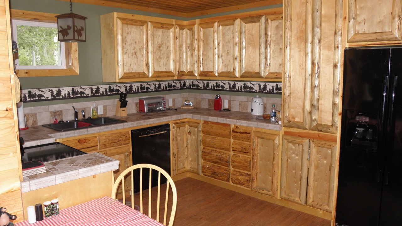 Photo of Kitchen in Last Chance