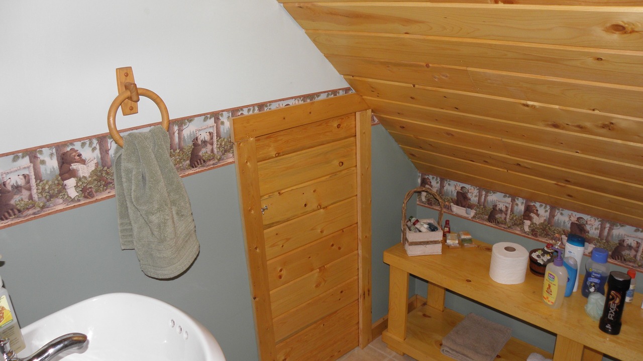 Photo of Bathroom in Last Chance