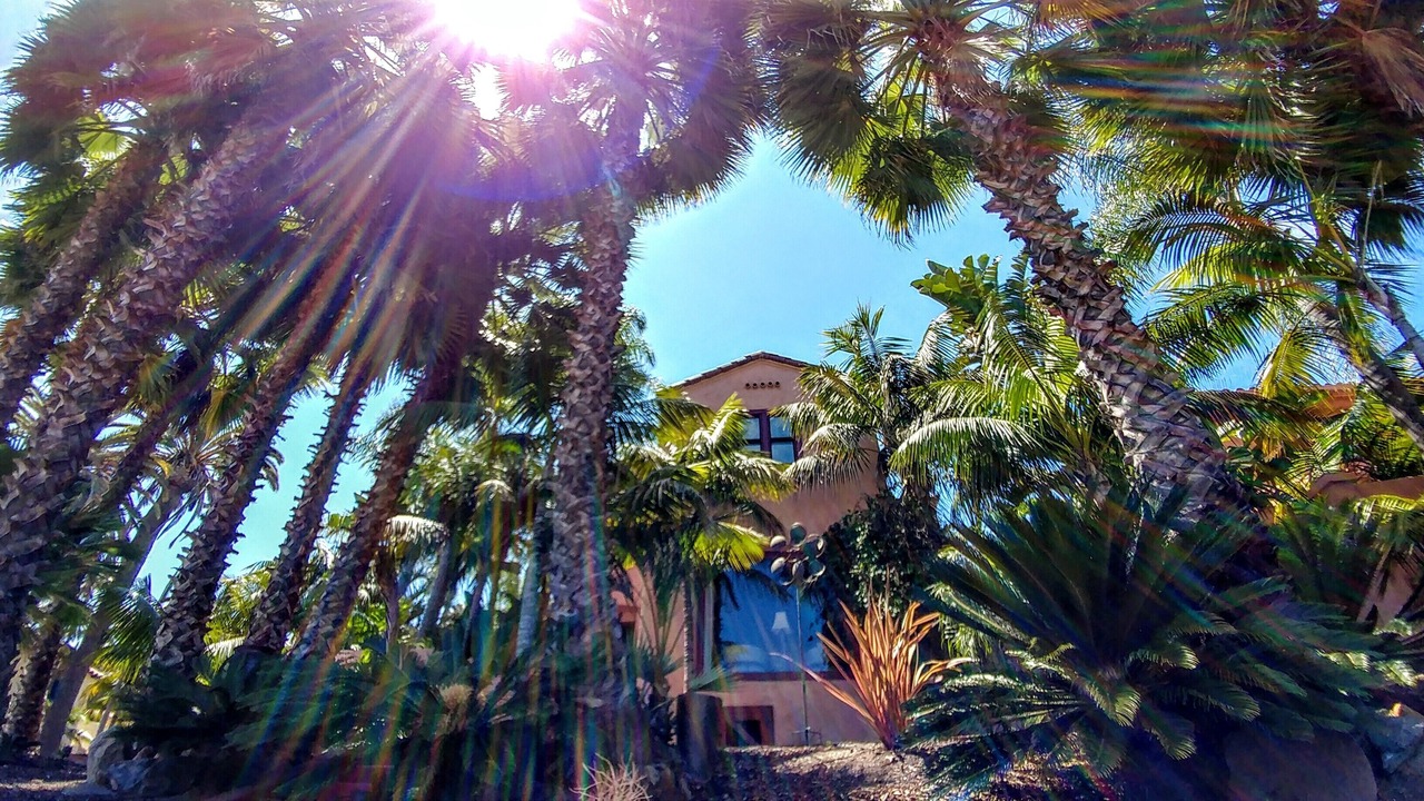 Photo of Outdoor in Roseville - Fleet Ridge