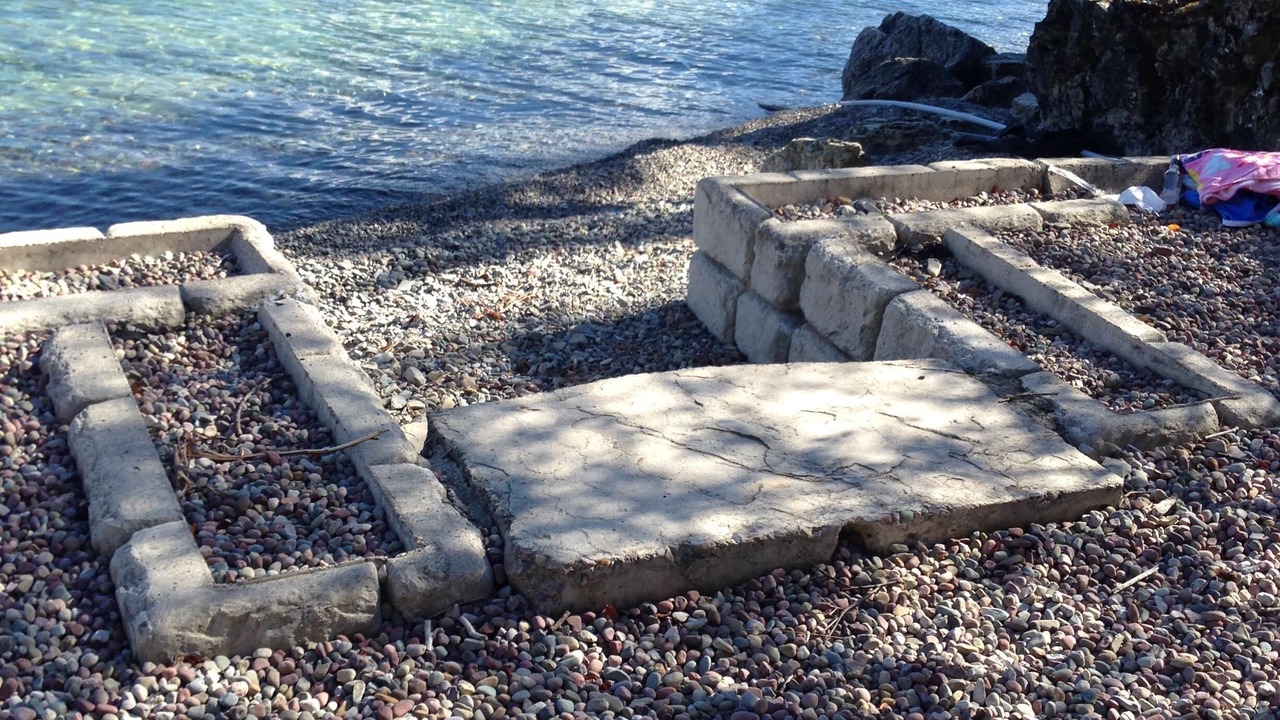 Photo of Others in Finley Point