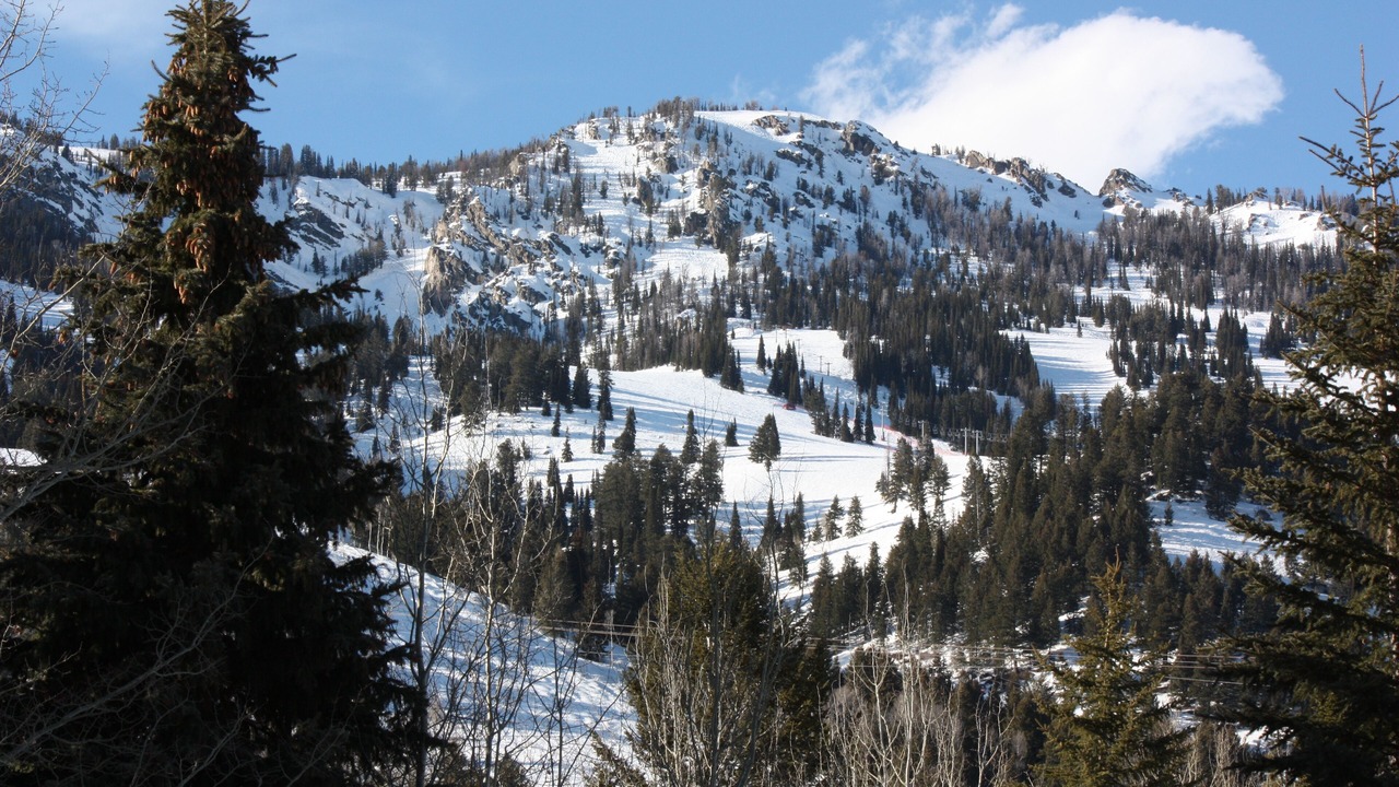 Photo of Others in Teton Village