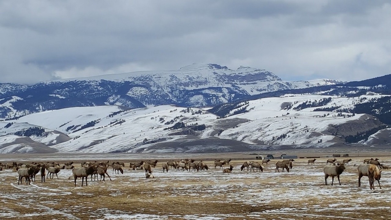 Photo of Others in Teton Village