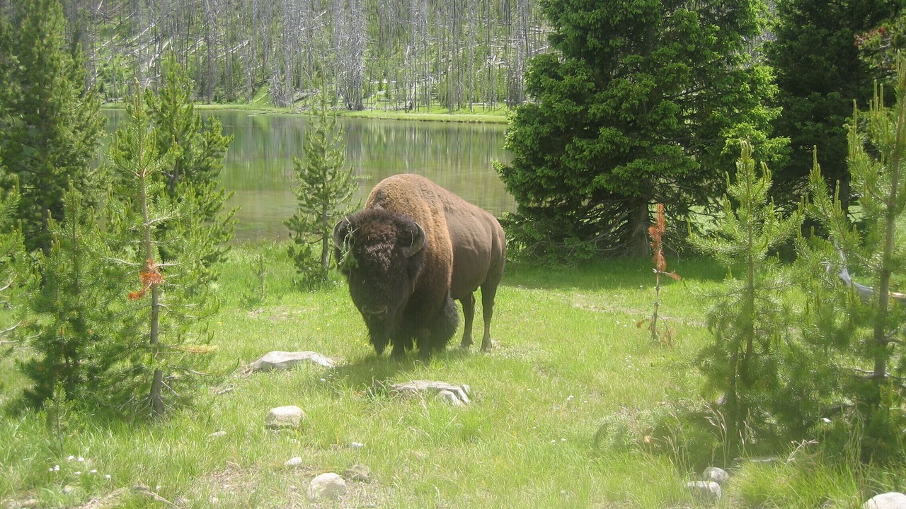 Photo of Others in Big Sky Meadow Village