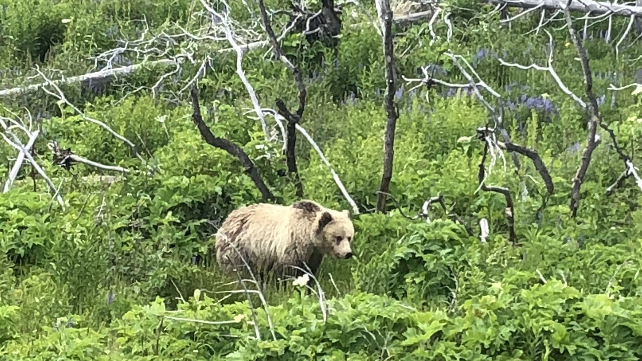Photo of Others in Big Sky Meadow Village