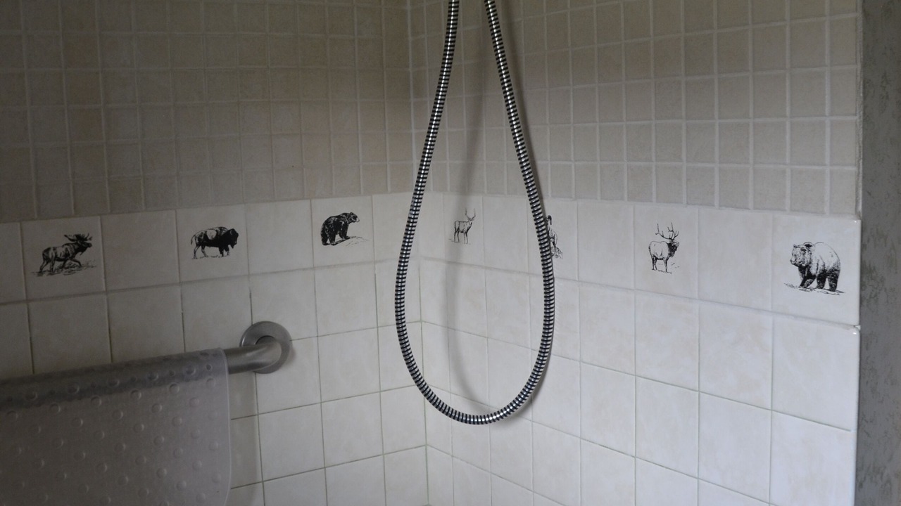 Photo of Bathroom in Gardiner