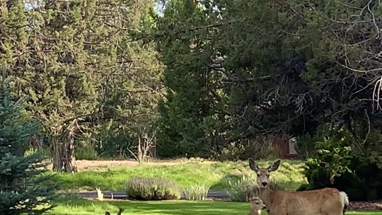 Photo of Outdoor in Redmond