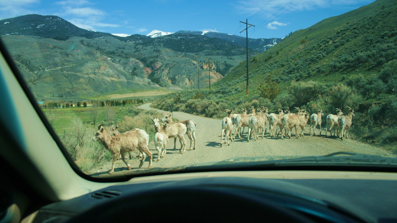 Photo of Others in Gardiner