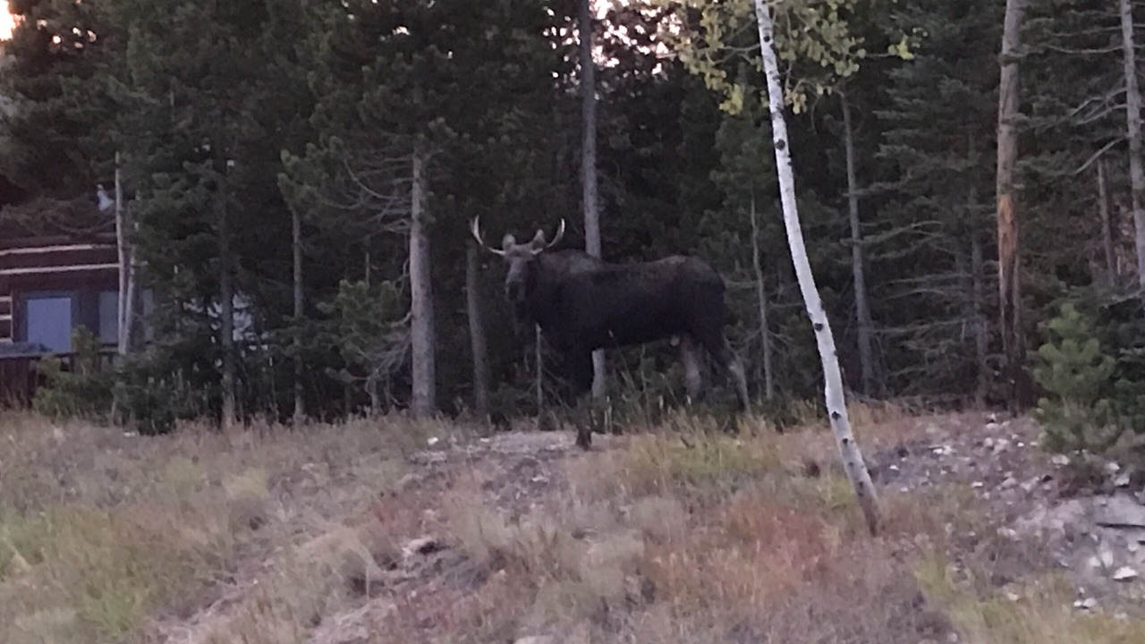 Photo of Outdoor in Big Sky