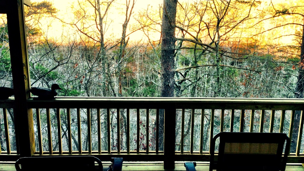 Photo of Outdoor in Mentone