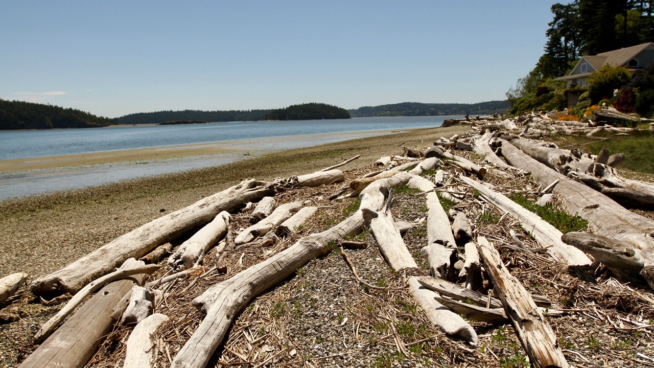 Photo of Others in Anacortes