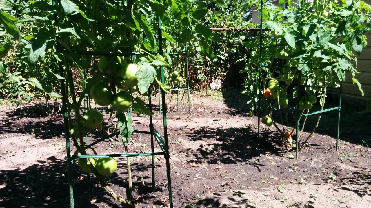Photo of Outdoor in Oak Park