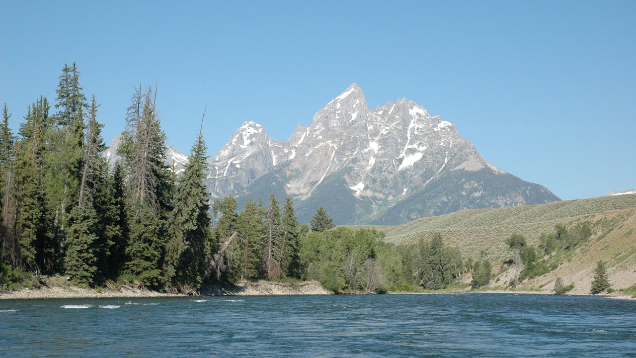 Photo of Others in Tetonia