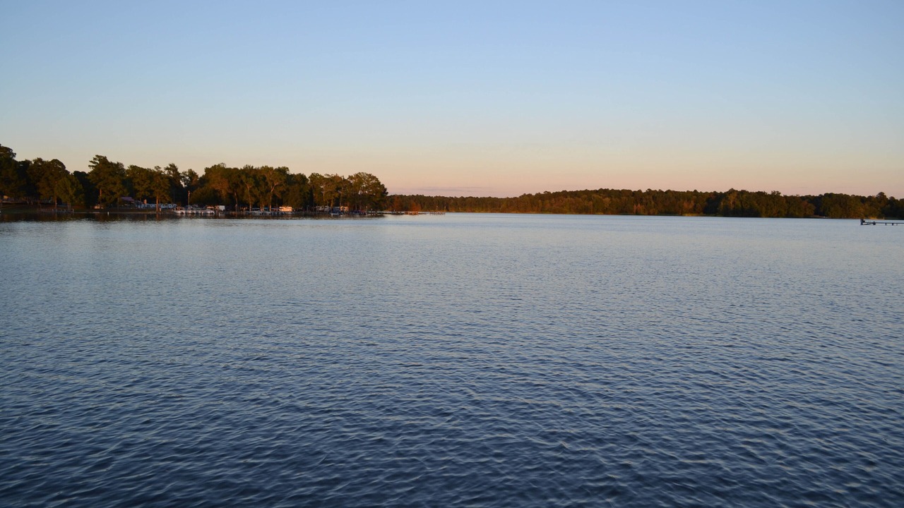 Photo of Others in Summerton