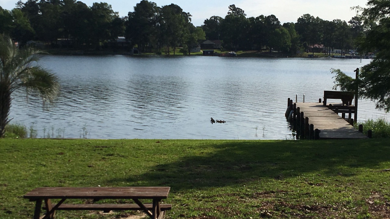 Photo of Others in Summerton