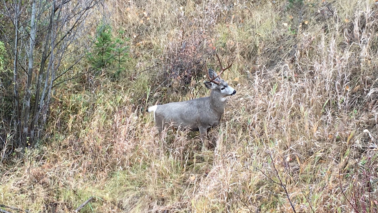 Photo of Others in Gardiner