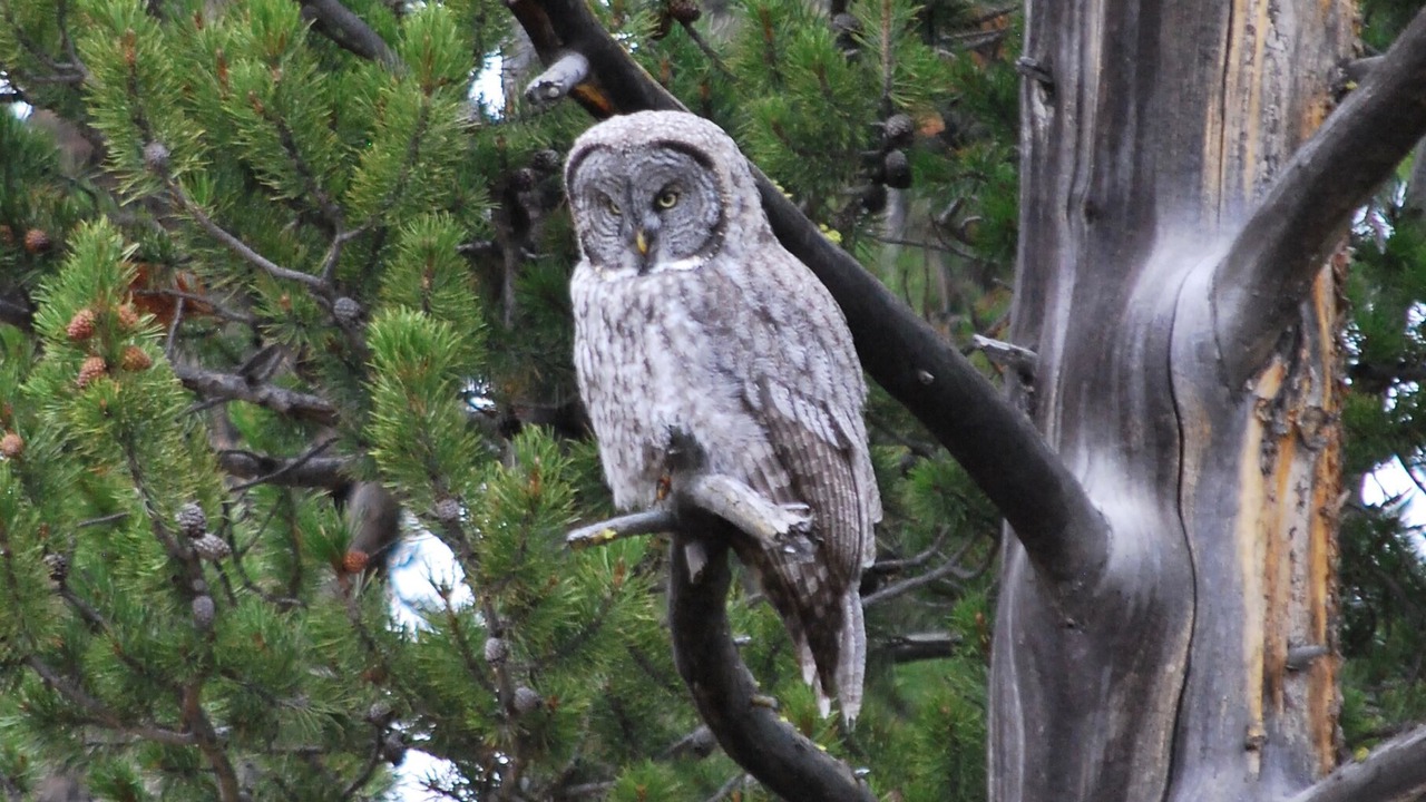 Photo of Others in Gardiner