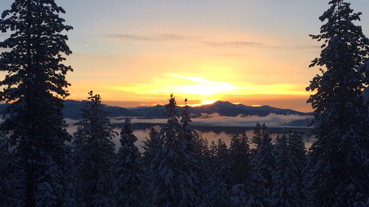 Photo of Others in McCall