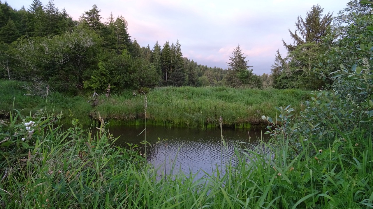 Photo of Outdoor in Reedsport