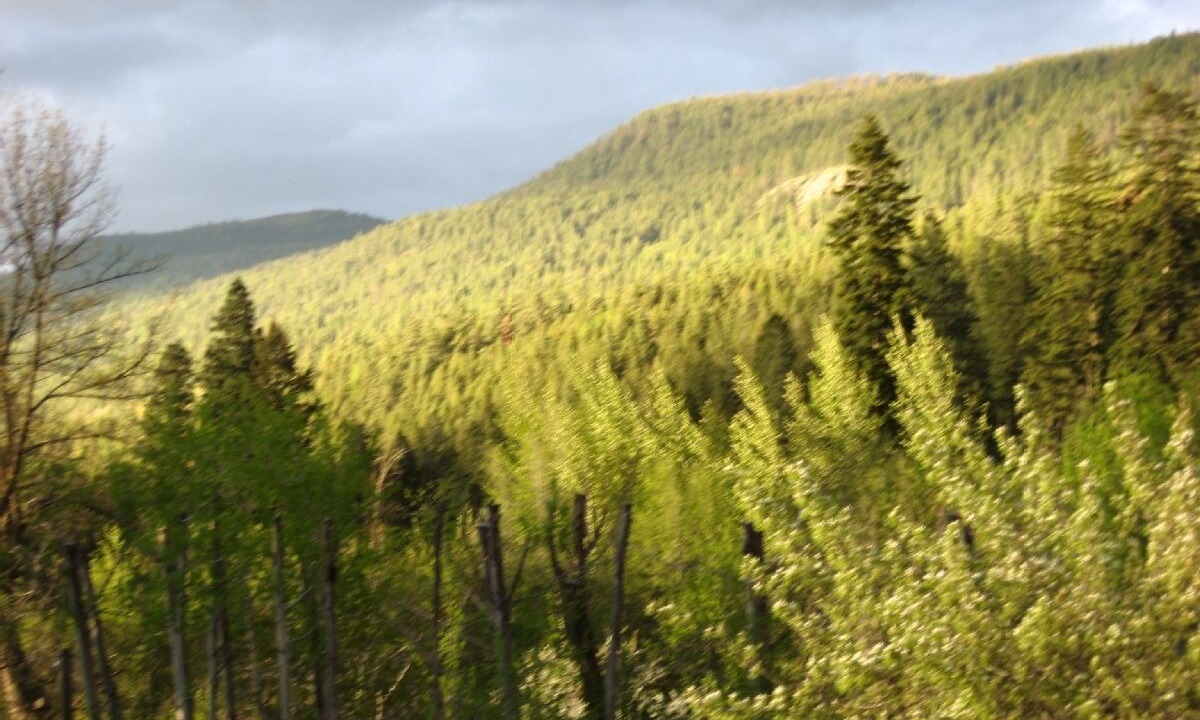 Photo of Others in Bigfork